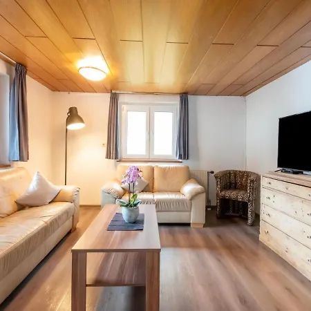 In Am Skilift Apartment