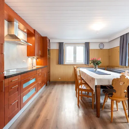 Appartement In Am Skilift