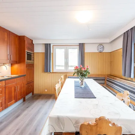 In Am Skilift Apartment